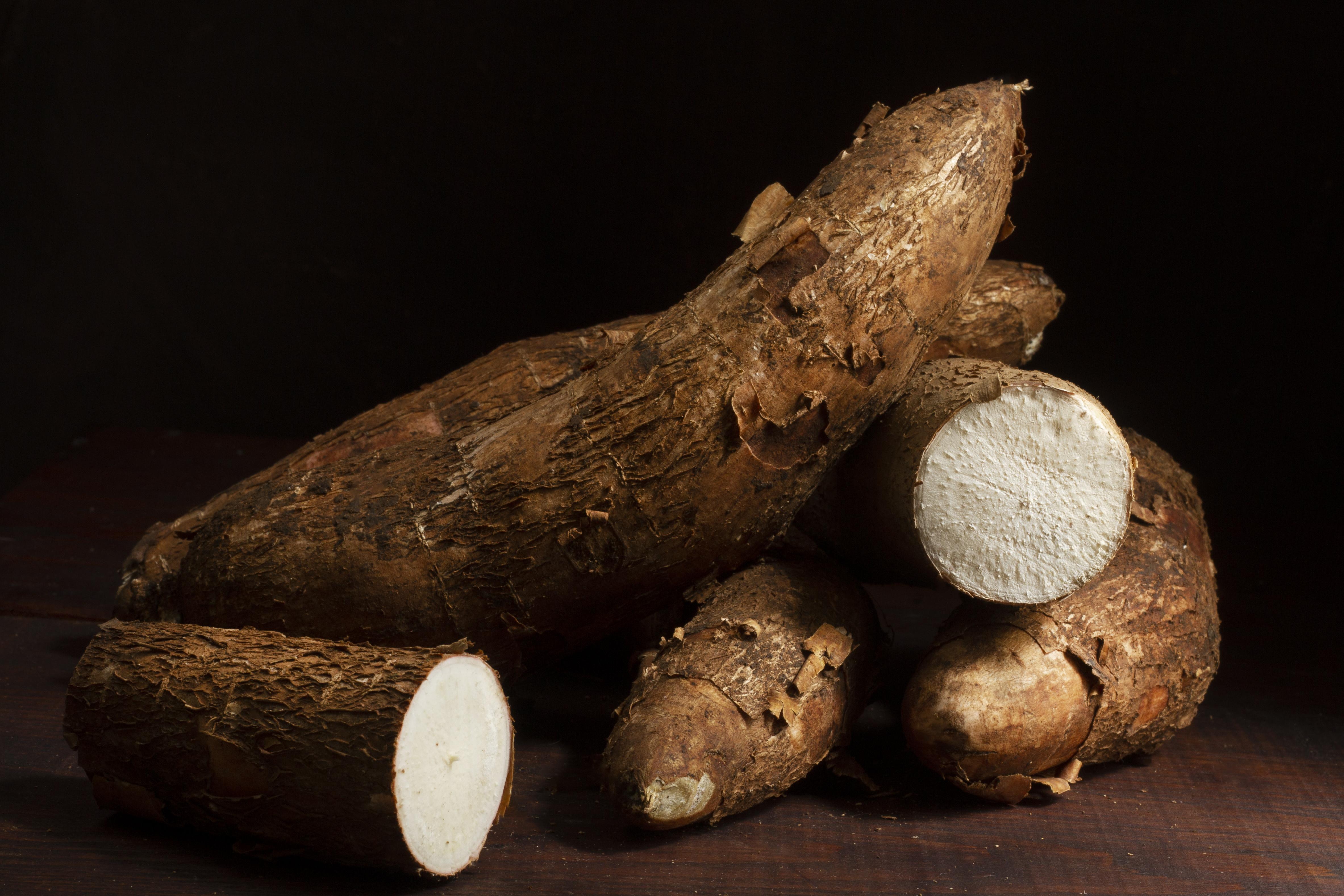 Arrowroot